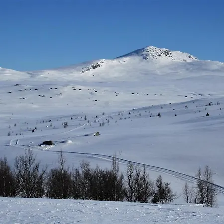Fjellhytte I Valdres, Rett Ved Nasjonalpark Og Turstier *